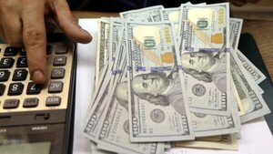 USD 324 millones de las reservas se utilizaron para atajar al dólar