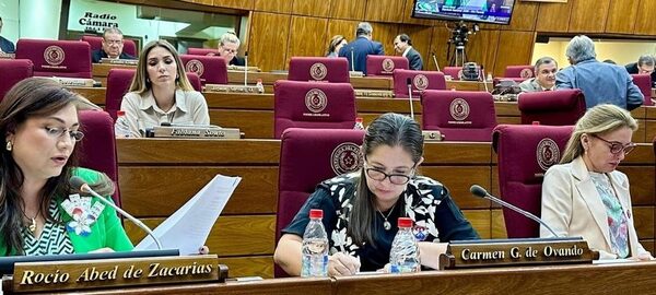 Diputada admite que urge crear mecanismos para proteger a mujeres víctimas de violencia – Diario TNPRESS