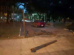 Ebrio atropella reja e ingresa a Plaza Uruguaya - Policiales - ABC Color