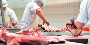 Concluye auditoría para habilitación de carne paraguaya en México