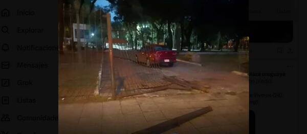 Conductor ka'ure se llevó por delante las rejas de la plaza Uruguaya