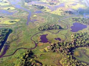 Brasil declarada situación crítica en la cuenca del río Paraguay - La Tribuna