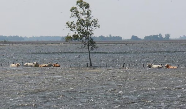 Inundaciones en Ñeembucú: 1.806 familias afectadas y 180 desplazadas - ADN Digital