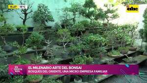 El milenario arte del Bonsai: Bosques del Oriente, una micro empresa familiar - Ensiestados - ABC Color