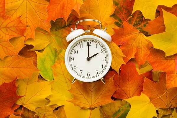 Alimentación ideal para días de otoño - Estilo de vida - ABC Color