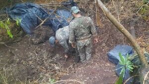 Un indígena tenía escondido bajo tierra alrededor de 1.000 kilos de marihuana