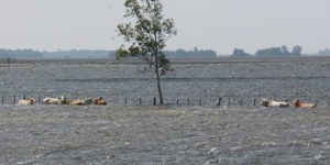 Inundaciones en Ñeembucú: 1.806 familias afectadas y 180 desplazadas