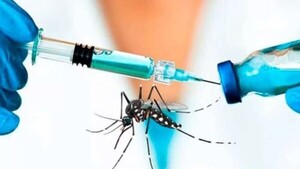 La OMS da “luz verde” a vacuna contra el dengue