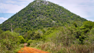 Policía reporta hallazgo de restos humanos en el Cerro Acahay