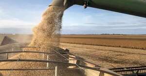La Nación / Calidad del grano paraguayo es importante para Argentina, resaltan