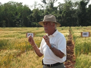 EL INDIO QUE CONVIRTIÓ SILENCIOSAMENTE A PARAGUAY EN UN GRAN PRODUCTOR DE TRIGO - Itapúa Noticias