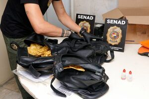 Senad evitó que cocaína oculta en carteras salieran de Silvio Pettirossi con destino a Madrid - ADN Digital