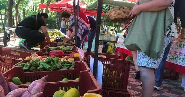 La Nación / Este sábado habrá colecta de abrigos en la Plaza Italia