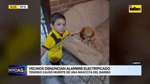 Limpio: Denuncian muerte de mascota por electrocución - ABC Noticias - ABC Color