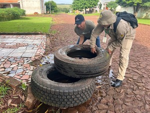 Reducción de casos de dengue en Alto Paraná, pero instan a no bajar la guardia - ADN Digital