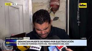 Limpio: denuncian que vecino electrocutó al perro de un niño con autismo  - ABC Noticias - ABC Color