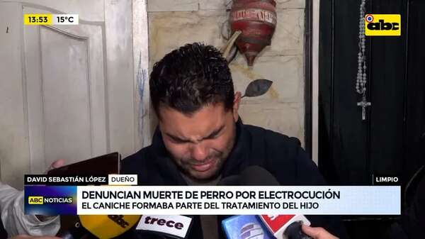 Limpio: denuncian que vecino electrocutó al perro de un niño con autismo - ABC Noticias - ABC Color