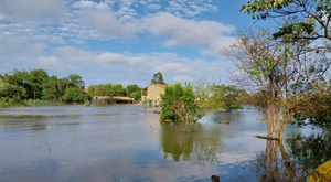 Asistencia a afectados por inundaciones : Gobierno llega a más de 3.000 hogares en Ñeembucú - Unicanal