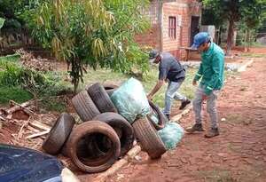 Alto Paraná: descenso considerable de notificaciones por sospechas de dengue - ABC en el Este - ABC Color