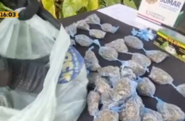 Incautan cocaína y marihuana en Fdo. de la Mora - C9N