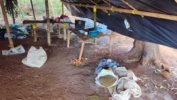 Asociación indígena asegura que sitio allanado por cultivo de marihuana no les corresponde