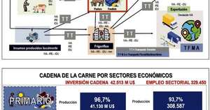 La Nación / La cadena de la carne y su peso en la economía social del país