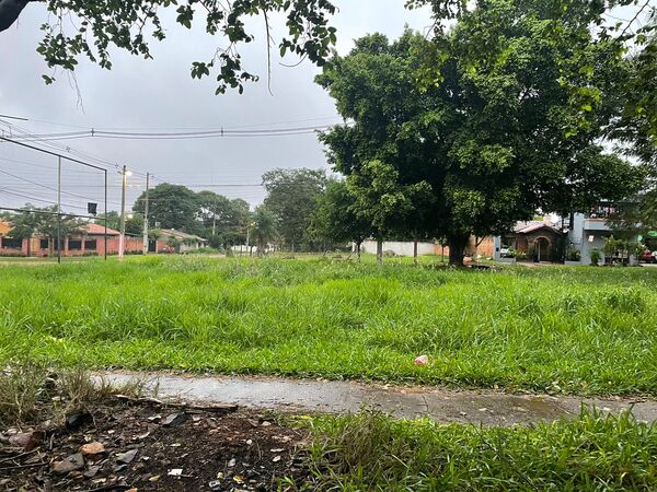 Cuestionan inoperancia de Aseo Urbano - San Lorenzo Hoy