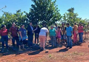 Municipalidad de Hernandarias reactiva huerta comunitaria | DIARIO PRIMERA PLANA