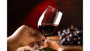 La cata de vinos, una experiencia de sabor