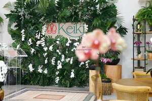 La belleza exótica de Keiki florece en el eje corporativo de Asunción