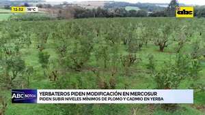Video: Yerbateros piden modificación en Mercosur - ABC Noticias - ABC Color
