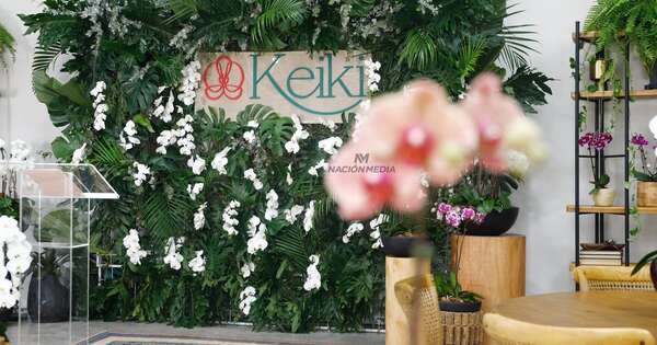 Diario HOY | Keiki habilita su primer local físico cargado de colores y finos arreglos