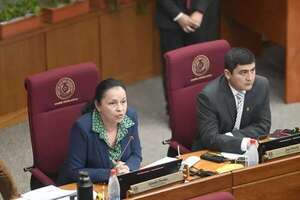 Senadora Paredes presenta plan para    incorporar los gastos sociales al PGN - Política - ABC Color