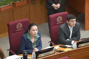 Senadora Paredes presenta plan para    incorporar los gastos sociales al PGN - Política - ABC Color
