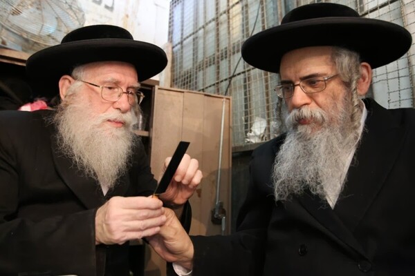 Aguardan arribo de cuadrillas kosher en 5 frigoríficos - La Tribuna