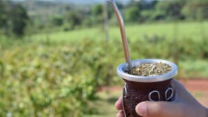 Provincia de Misiones frena importación de yerba mate desde Paraguay y Brasil