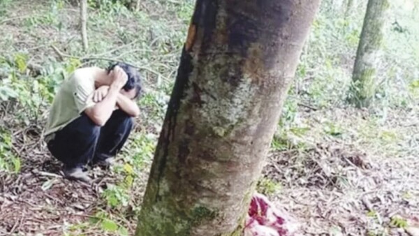 “Mucho guerreé por mi buey y le mataron como si nada”