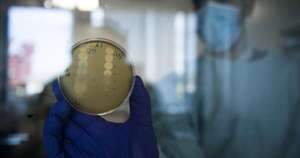 La Nación / OMS actualizó lista de bacterias más peligrosas para la humanidad