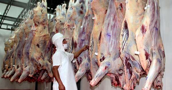 La Nación / Con habilitación de México carne local tendrá un estatus superior