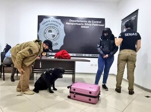 Detienen a joven que pretendía viajar a España con 3 kilos de cocaína - Judiciales.net