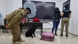 Senad incauta en el aeropuerto casi 4 kilos de cocaína oculta en maleta de pasajera con destino a España - .::Agencia IP::.