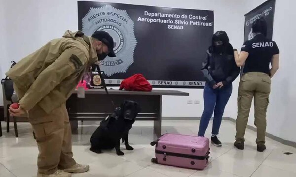 Joven de 18 años y un reclutador son detenidos por intentar enviar cocaína a España – Prensa 5