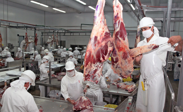 Afirman que la cadena de valor de la carne representa 12,1 % del PIB nacional - Megacadena - Diario Digital