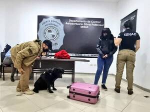 Querían enviar merca a bulto a España: detienen a "mula" y a "reclutador"