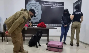 Detenidos por intentar enviar cocaína a España una joven de 18 años y un reclutador - OviedoPress
