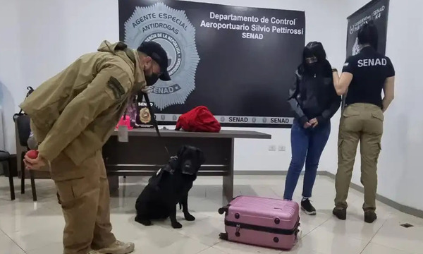 Detenidos por intentar enviar cocaína a España una joven de 18 años y un reclutador - OviedoPress
