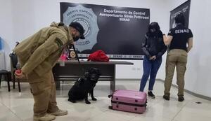 Dos detenidos por intentar enviar droga a España - trece