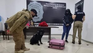 Cae “mula” y reclutador que intentaron enviar cocaína a España - Unicanal