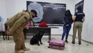 Detienen a "mula" y reclutador que intentaron mandar cocaína a España - PDS RADIO Y TV