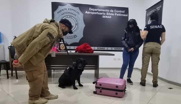 Detienen a "mula" y reclutador que intentaron mandar cocaína a España - PDS RADIO Y TV
